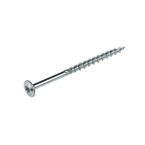 Tellerkopschroef verzinkt 6x100mm Torx T30