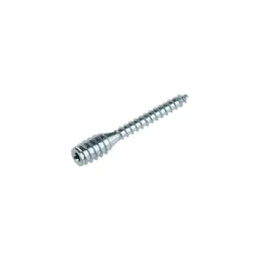 Afstandschroef verzinkt 6x80mm Torx T25