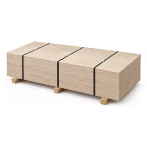 Multiplex Berken BB/BB 9mm | Vol pak 80 stuks