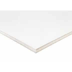 Betonplex Melaply 18mm 395grams fenolharscoating 2-zijdig wit RAL 9016 