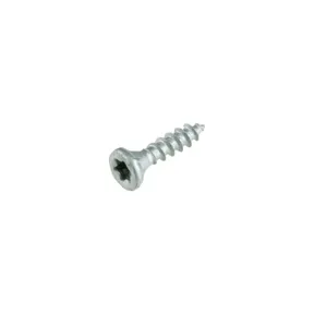 Buitenschroef gecoat 3,5x20mm Torx T20