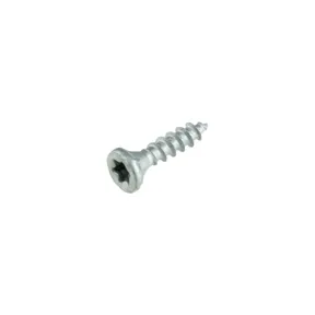 Buitenschroef gecoat 4,5x30mm Torx T20