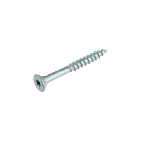 Buitenschroef gecoat 4,5x40/24mm Torx T20