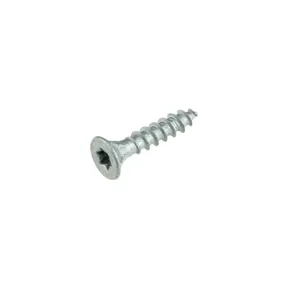 Buitenschroef gecoat 4x25mm Torx T20