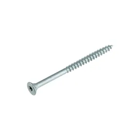 Buitenschroef gecoat 4x50/30mm Torx T20