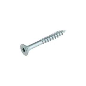 Buitenschroef gecoat 5x40/24mm Torx T20