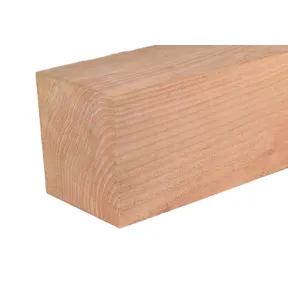 Paal Douglas hout 200x200mm bezaagd 