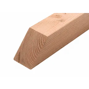 Douglas schoor recht 120x120 geschaafd 54cm (langste lengte)