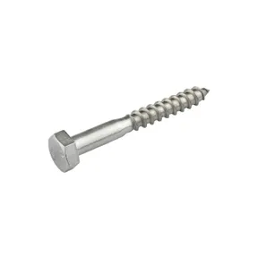 Houtdraadbout RVS 10x100mm