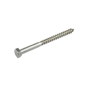 Houtdraadbout RVS 8x120mm