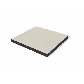HPL compact plaat 6mm | Grijs-wit RAL 9002