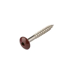 HPL Compact schroef 4,8x38mm wijn rood RAL 3005