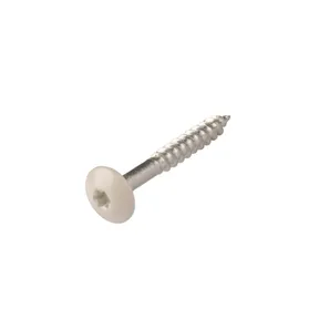 HPL Compact schroef 4,8x38mm creme wit RAL 9001