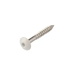 HPL Compact schroef 4,8x38mm zuiver wit RAL 9010