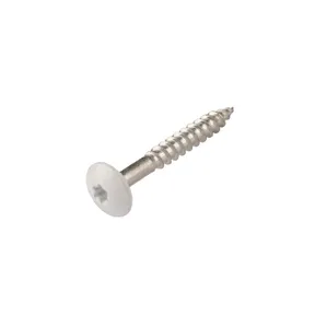 HPL Compact schroef 4,8x38mm wit RAL 9016
