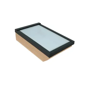 Lichtstraat Daklicht Douglas - Zwart (RAL 9005)