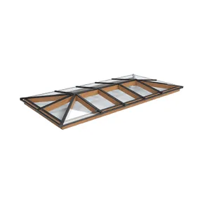Lichtstraat Schilddak Douglas met 14 vaks veiligheidsglas - 400,4-500,4cm breed | Zwart RAL 9005