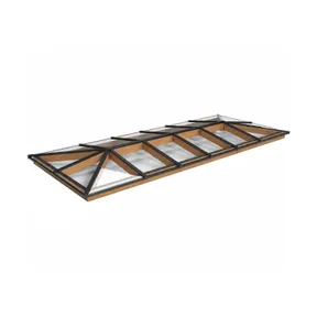Lichtstraat Schilddak Douglas met 16 vaks veiligheidsglas - 482,2-582,2cm breed | Zwart RAL 9005