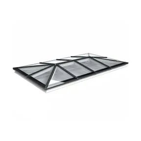 Lichtstraat Schilddak Grenen met 12 vaks  HR++ isolatieglas - 320,2-420,2cm breed | Zwart RAL 9005