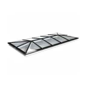 Lichtstraat Schilddak Grenen met 14 vaks  HR++ isolatieglas - 402,8-502,8cm breed | Zwart RAL 9005