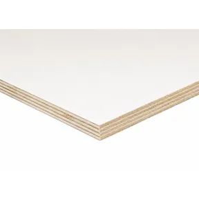 Multiplex Populier B/BB rondom wit gegrond (80mu) 22mm 