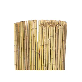 Natuurscherm bamboe