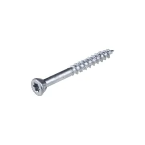 Schroef RVS 4,5x40mm Torx T20 (SUS410)