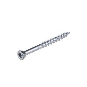 Schroef RVS 5x50mm Torx T25 (SUS410)