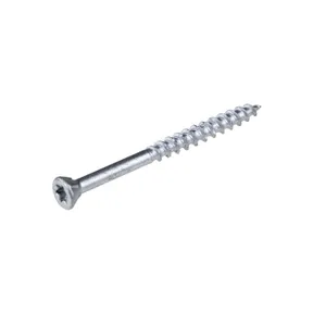 Schroef RVS 5x60mm Torx T25 (SUS410)