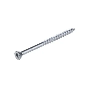 Schroef RVS 5x70mm Torx T25 (SUS410)