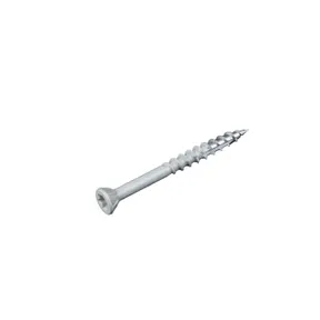 Schroef RVS 5x50mm Torx (SUS410) wit Ral 9010 gepoedercoat