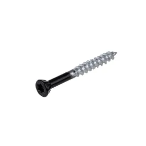 Schroef RVS 5x50mm Torx (SUS410) zwart RAL 9011 gepoedercoat