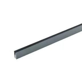 Sierstrip XL 2500mm voor glazen schuifwand antraciet