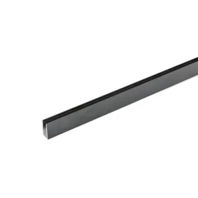 Sierstrip XL 2500mm voor glazen schuifwand mat zwart 