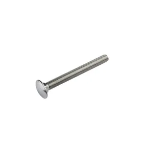 Slotbout RVS M8x100mm