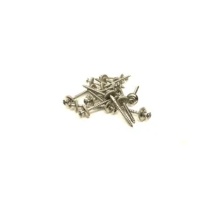 Daktrim schroef RVS 4,5x40mm