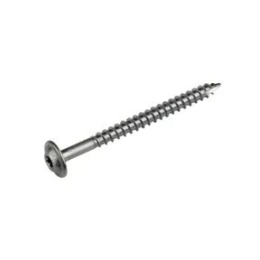 Tellerkopschroef RVS 8x100mm Torx T40