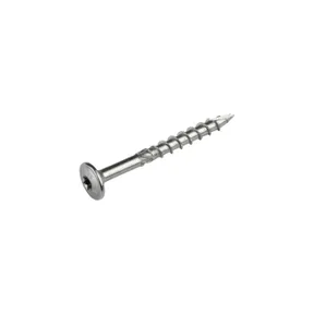 Tellerkopschroef RVS 8x80mm Torx T40