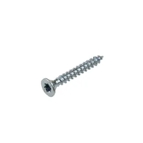 Universele houtschroef Woodpecker 4x30mm Torx