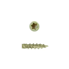 Vlonderschroef gecoat 5x60mm Torx T25