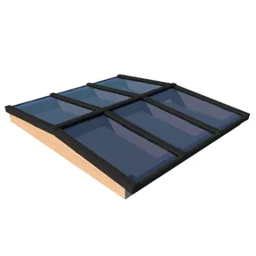 Lichtstraat Zadeldak Douglas ongeïsoleerd - Zwart (RAL 9005)