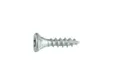 Buitenschroef gecoat 4,5x30mm Torx T20
