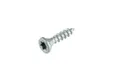 Buitenschroef gecoat 4,5x30mm Torx T20