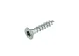 Buitenschroef gecoat 4x20mm Torx T20