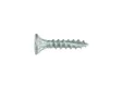 Buitenschroef gecoat 4x25mm Torx T20