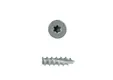 Buitenschroef gecoat 4x30mm Torx T20