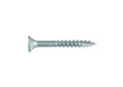 Buitenschroef gecoat 5x40/24mm Torx T20