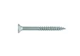 Buitenschroef gecoat 5x60/36mm Torx T20