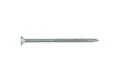 Buitenschroef gecoat 6x100/60mm Torx T25