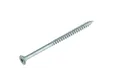 Buitenschroef gecoat 6x100/60mm Torx T25